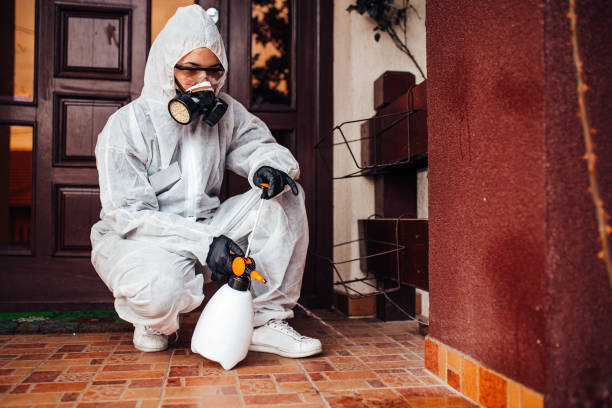 Reliable Cockroach Control contractor in Sulphur, OK by Nex Pest Control