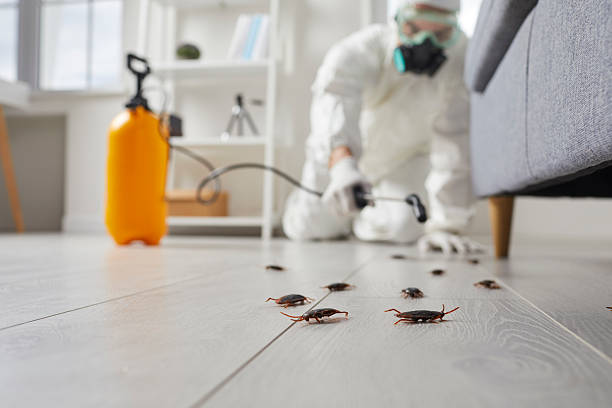 Trusted Cockroach Control service in Sulphur, OK - Nex Pest Control