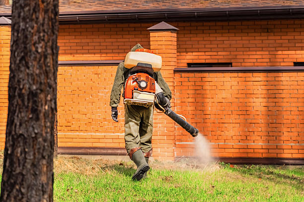Trusted Ant Control service in Sulphur, OK - Nex Pest Control